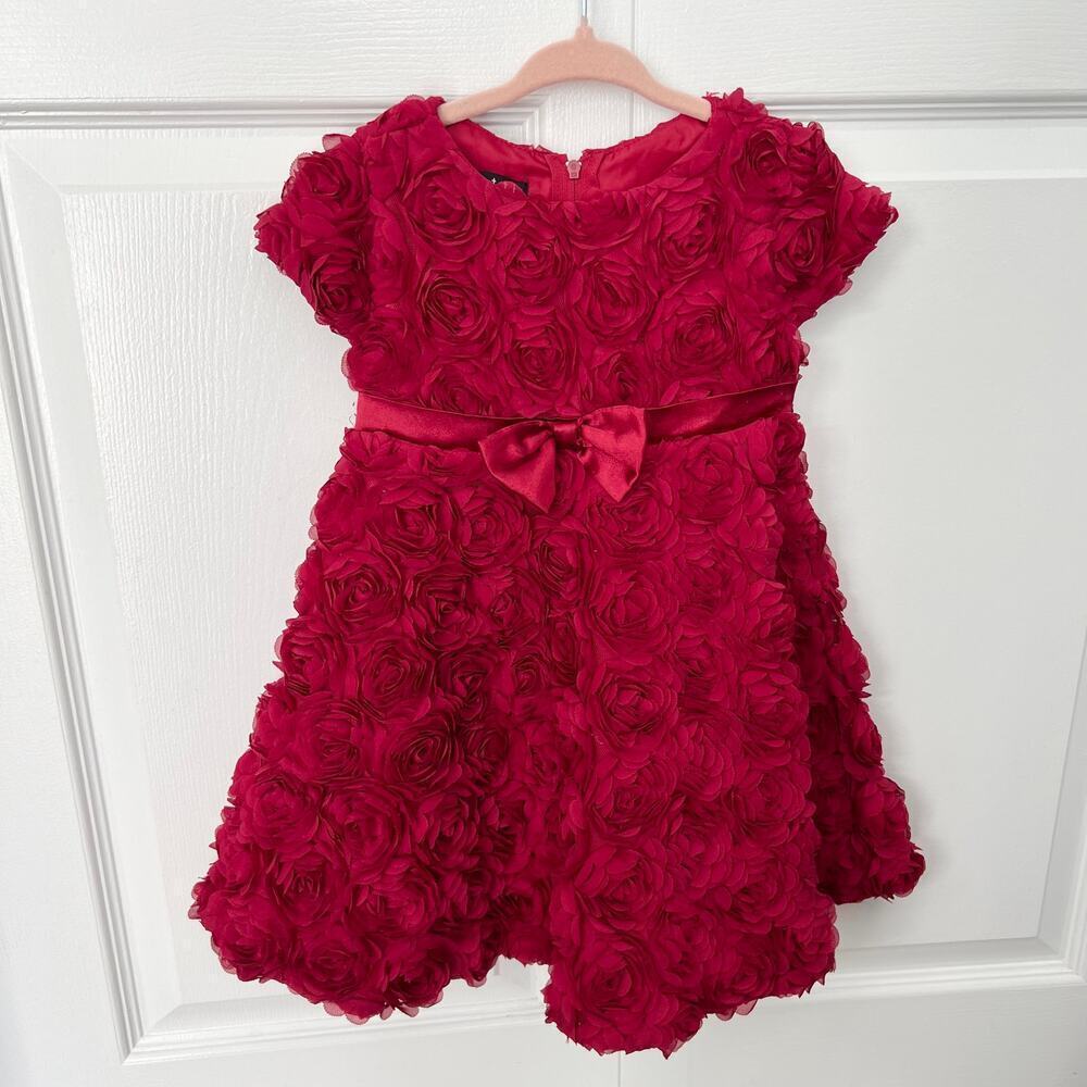 Biscotti Collzioni Standing Ovation Red Floral Fancy Lined Dress  - 24 months